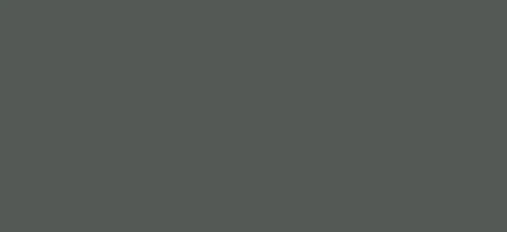 Soft Touch Mint L156 1